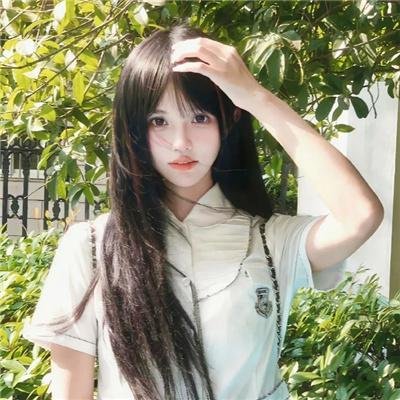 酱狗